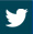 Logotyp Twitter